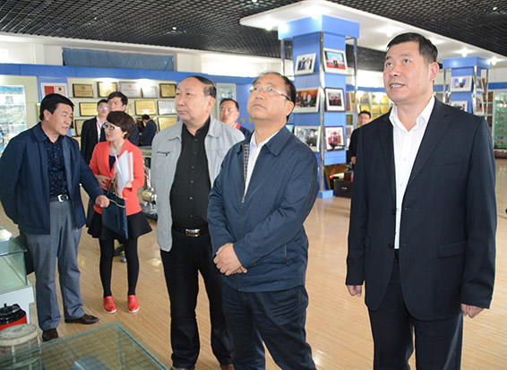 人生就是博·(中国区)官方网站