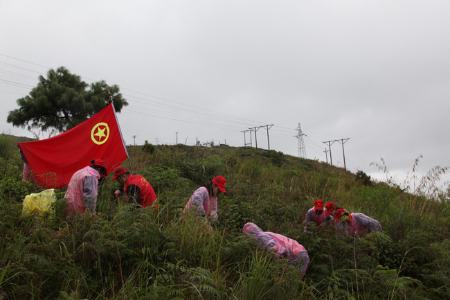 �������ǲ���(�й���)�ٷ���վ