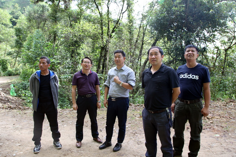 �������ǲ���(�й���)�ٷ���վ